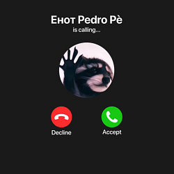 Свитшот хлопковый мужской Енот pedro pe is calling мем, цвет: черный — фото 2