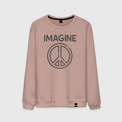 Свитшот хлопковый мужской Peace imagine, цвет: пыльно-розовый