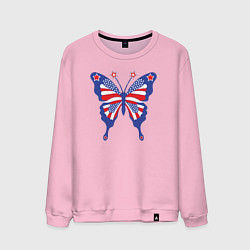 Мужской свитшот USA butterfly