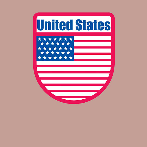 Мужской свитшот United States / Пыльно-розовый – фото 3