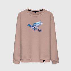 Свитшот хлопковый мужской Летящий голубь и ночной город с двойной экспозицие, цвет: пыльно-розовый