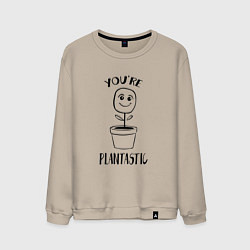 Свитшот хлопковый мужской YOURE PLANTASTIC, цвет: миндальный