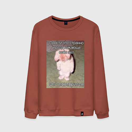 Мужской свитшот Котик плохо себя вёл мем / Кирпичный – фото 1