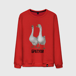 Мужской свитшот Гуси братья