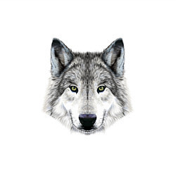 Свитшот хлопковый мужской Классный красивый волк, цвет: белый — фото 2