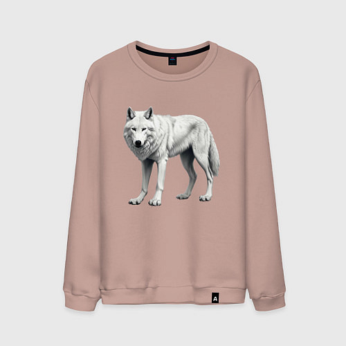 Мужской свитшот Белый волк альфа / Пыльно-розовый – фото 1