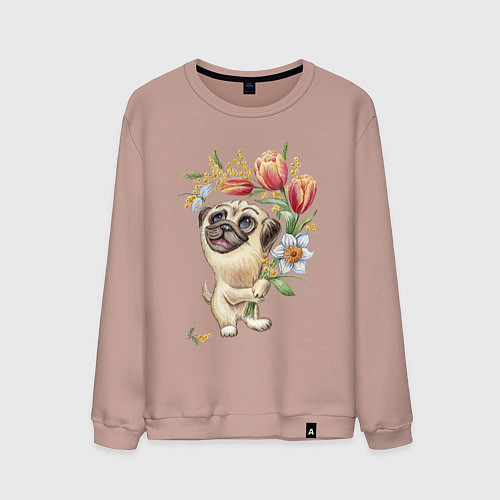 Мужской свитшот Мопс с букетом / Пыльно-розовый – фото 1