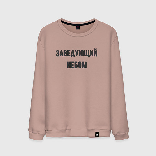 Мужской свитшот Заведующий небом / Пыльно-розовый – фото 1