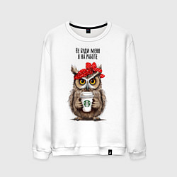 Мужской свитшот Сова - не буди меня на работе
