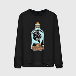 Мужской свитшот Космический дом в бутылке