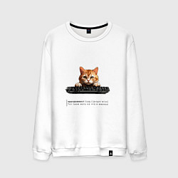 Свитшот хлопковый мужской Кот программист с описанием, цвет: белый