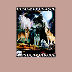 Свитшот хлопковый мужской Человек по шансу - альфа по выбору, цвет: пыльно-розовый — фото 2