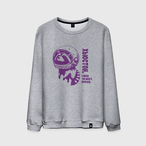 Мужской свитшот Грустный енот в космосе хьюстон у меня много пробл / Меланж – фото 1