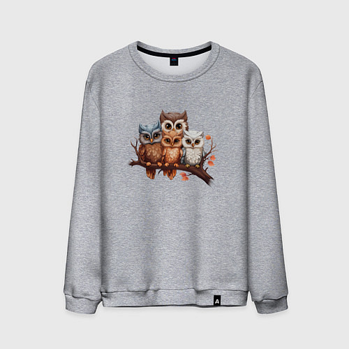 Мужской свитшот Четыре совы на ветке / Меланж – фото 1