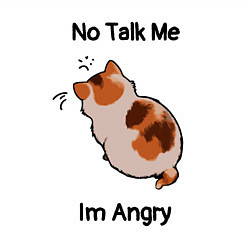 Свитшот хлопковый мужской Обиженный котик - not talk to me am angry, цвет: белый — фото 2