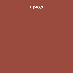 Свитшот хлопковый мужской День недели среда, цвет: кирпичный — фото 2