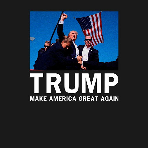 Мужской свитшот Дональд Трамп / Черный – фото 3