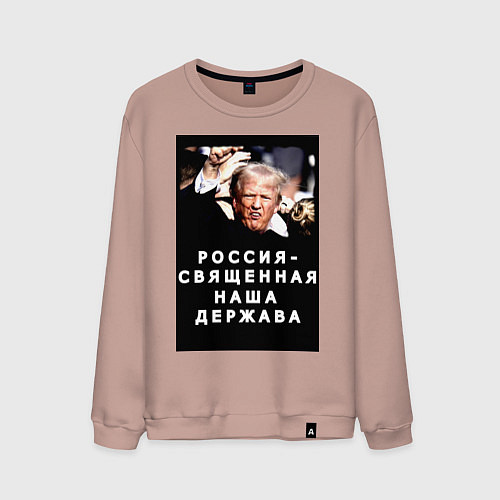 Мужской свитшот Мем Трамп после покушения Россия держава / Пыльно-розовый – фото 1