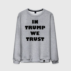 Мужской свитшот In Trump we trust - slogan