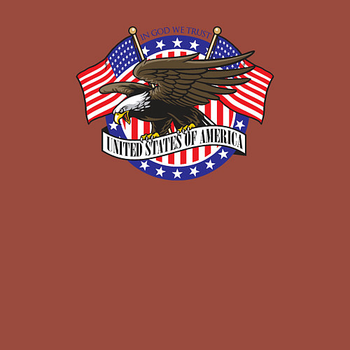 Мужской свитшот United States of America / Кирпичный – фото 3