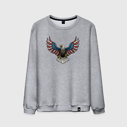 Свитшот хлопковый мужской Eagle - America, цвет: меланж