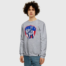 Свитшот хлопковый мужской Elephant USA, цвет: меланж — фото 2