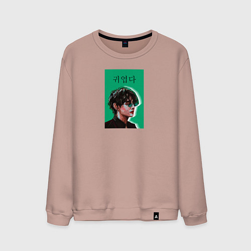 Мужской свитшот Техен зеленый / Пыльно-розовый – фото 1