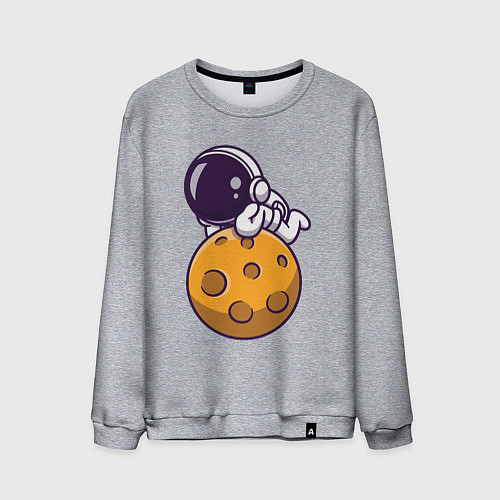 Мужской свитшот Отдых на Луне / Меланж – фото 1