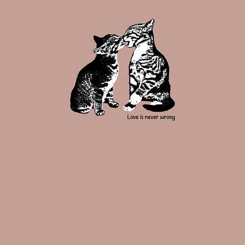 Мужской свитшот Поцелуй котиков / Пыльно-розовый – фото 3