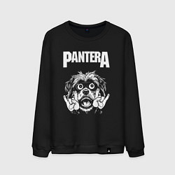 Мужской свитшот Pantera rock dog