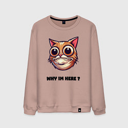 Свитшот хлопковый мужской Зачем я здесь, цвет: пыльно-розовый