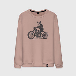 Свитшот хлопковый мужской Бостон-Терьер Байкер на Мотоцикле Чоппере, цвет: пыльно-розовый