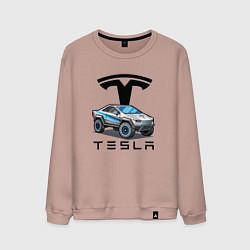 Свитшот хлопковый мужской Tesla сybertruck Elon Musk, цвет: пыльно-розовый