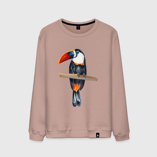 Мужской свитшот Тукан на толстой ветке / Пыльно-розовый – фото 1