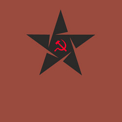 Свитшот хлопковый мужской Black star USSR, цвет: кирпичный — фото 2