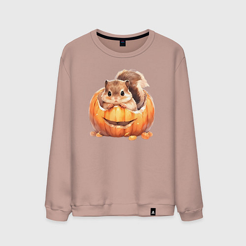 Мужской свитшот Белка в тыкве / Пыльно-розовый – фото 1