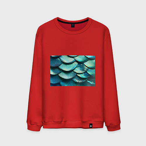 Мужской свитшот Чешуя крупной рыбы / Красный – фото 1