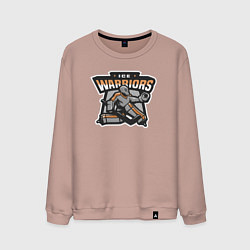 Свитшот хлопковый мужской Ледяные воины, цвет: пыльно-розовый