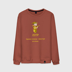 Свитшот хлопковый мужской Istp одним словом- мастер, цвет: кирпичный