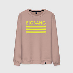 Свитшот хлопковый мужской Big bang с желтыми полосами, цвет: пыльно-розовый