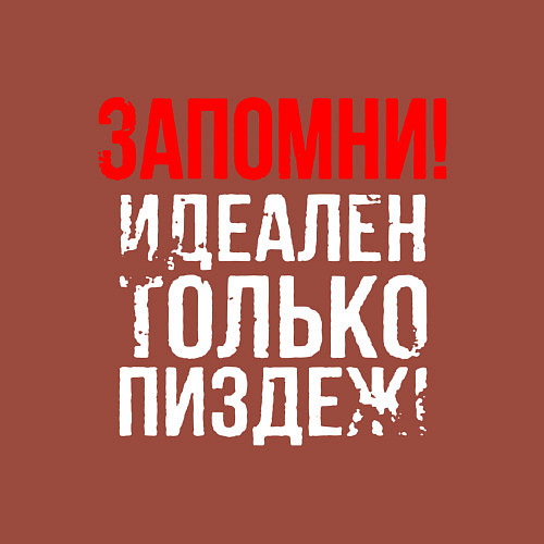 Мужской свитшот Запомни - идеально только вранье / Кирпичный – фото 3