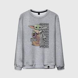 Свитшот хлопковый мужской Unknown specis - Baby Yoda, цвет: меланж