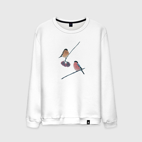 Мужской свитшот Снегири на ветке рябины / Белый – фото 1