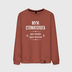 Свитшот хлопковый мужской Муж стоматолога одна миссия, цвет: кирпичный