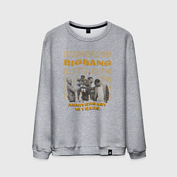 Свитшот хлопковый мужской Big bang 15 лет, цвет: меланж