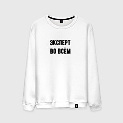 Свитшот хлопковый мужской Эксперт во всём, цвет: белый