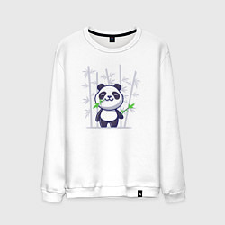 Свитшот хлопковый мужской Панда с бамбуком, цвет: белый