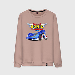 Мужской свитшот Cool hedgehog - Sonic racing team