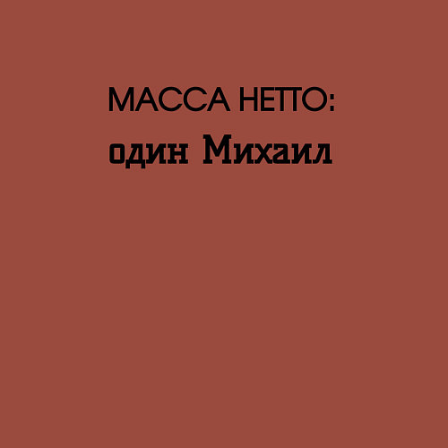 Мужской свитшот Масса нетто михаил / Кирпичный – фото 3