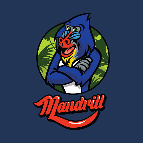 Мужской свитшот Mandrill / Тёмно-синий – фото 3